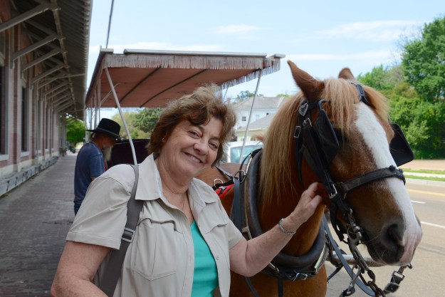 Denise making friends with the horse. (Part Welsh Pit Pony.)