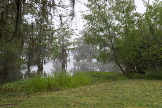 A misty, moisty, morning.