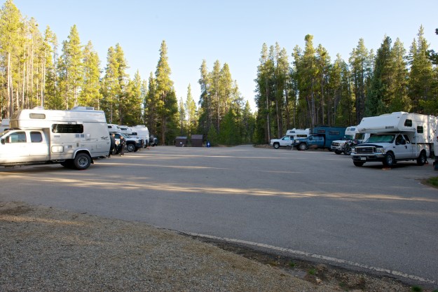 Tiger Rally 2014  0001