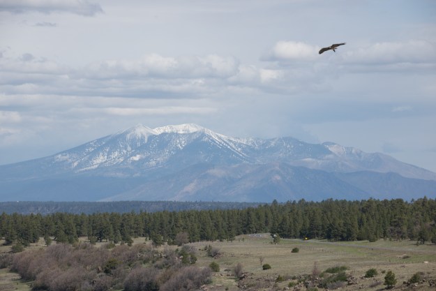 Mountains above Flagstaff, Arizona. http://en.wikipedia.org/wiki/San_Francisco_Peaks
